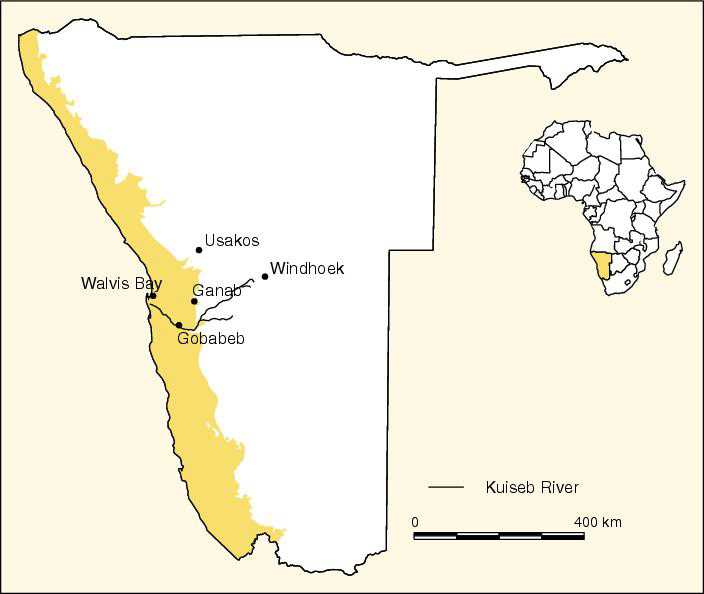 Пустыня калахари - kalahari desert - abcdef.wiki