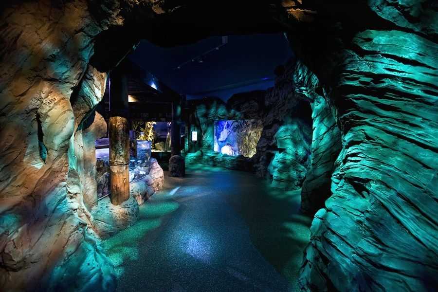 Сиднейский аквариум sea life - sea life sydney aquarium - abcdef.wiki