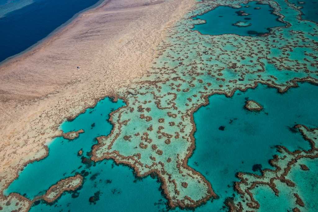 Большой барьерный риф: австралия, на карте, фото