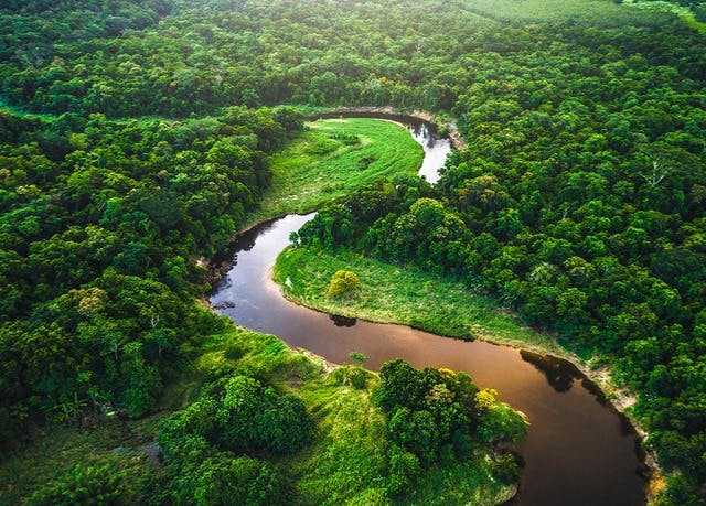 Манаус: "тропический город амазонии" (бразилия) | hasta pronto