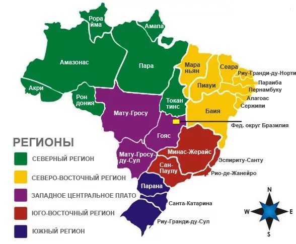 Области Бразилии: Пантанал, Бонито...