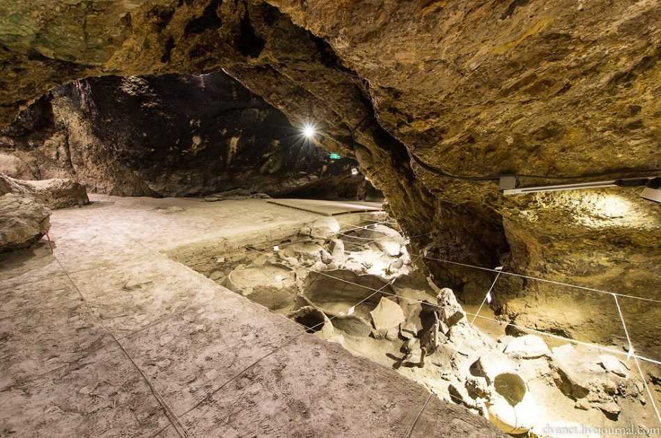 Пещера древних людей арени-1 в армении: фото, видео, наш отзыв и как добраться