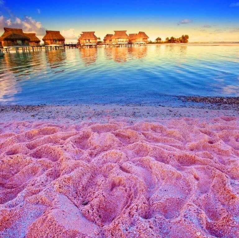 Кояшское розовое озеро в крыму