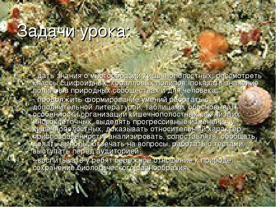 Острова кораллового моря - coral sea islands - abcdef.wiki