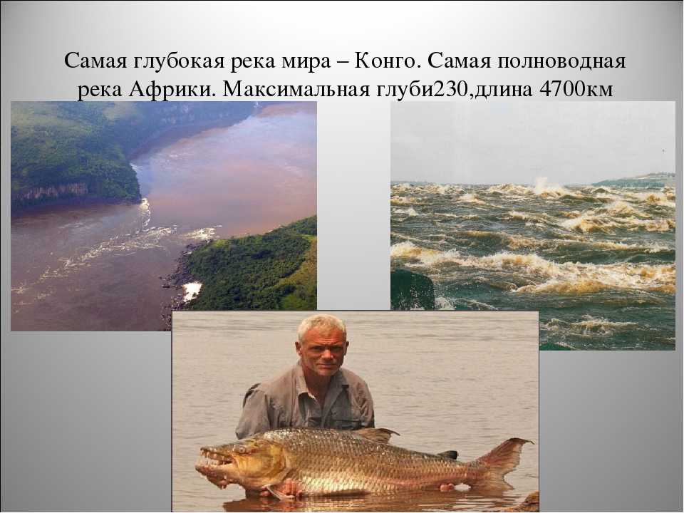 Река днепр: главная водная артерия украины (+видео)
