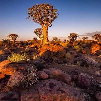 Пустыня калахари – фото, обзор, как добраться, отзывы