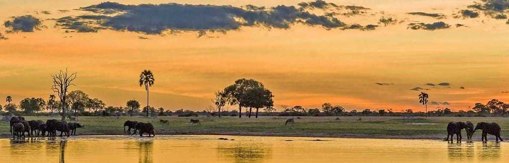 Ботсвана - природа - достопримечательности - габороне