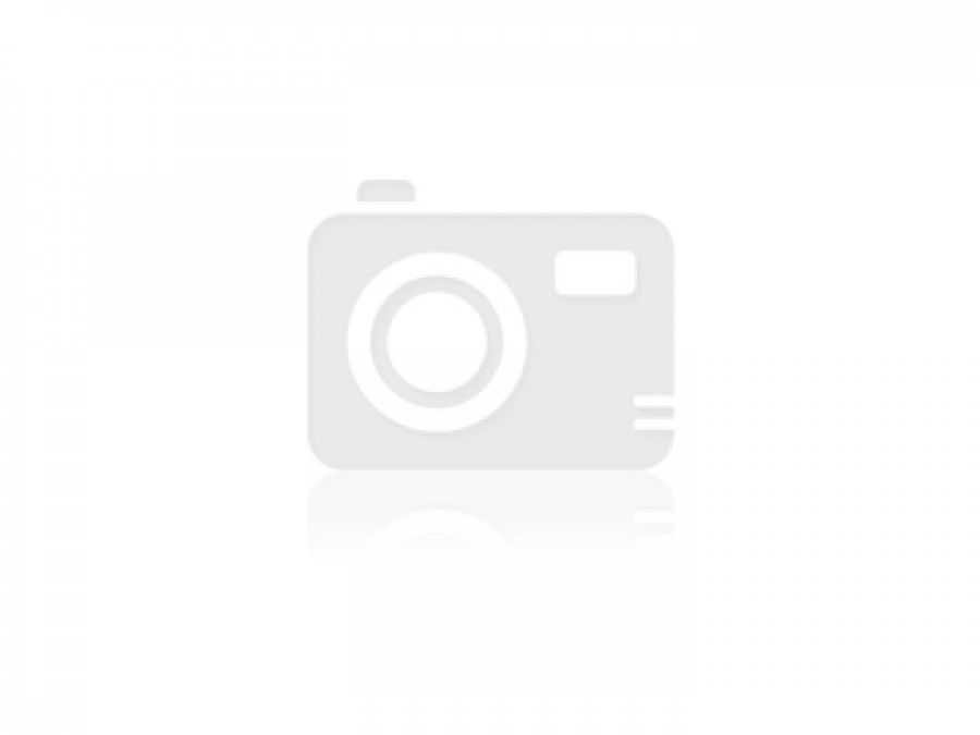 Достопримечательности Вагаршапата с подробным описанием, качественными фото, картой и видео Главные достопримечательности города Вагаршапат: Эчмиадзин