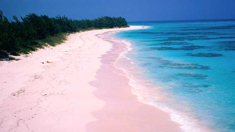 Розовый пляж, багамские о-ва — обзор