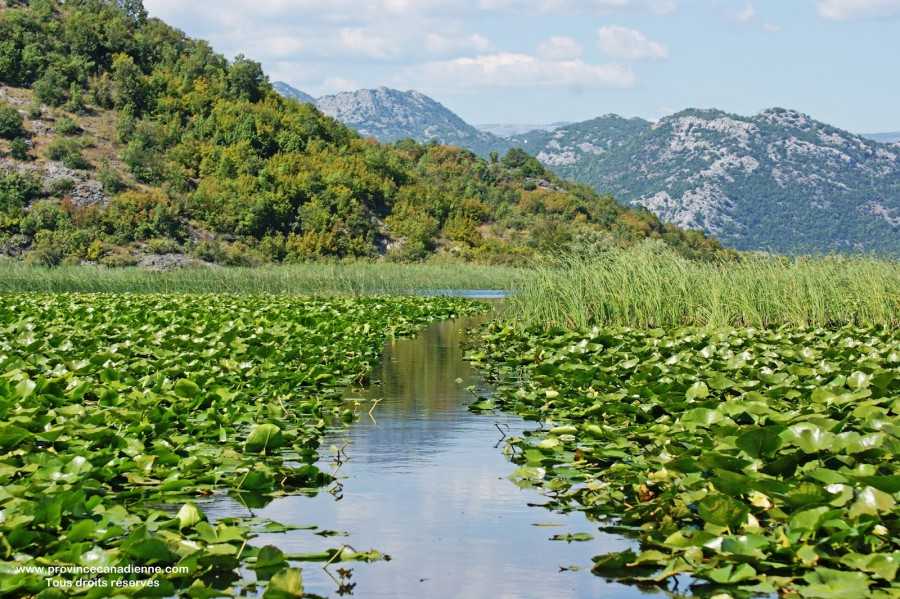 Скадарское озеро, достопримечательности и природа